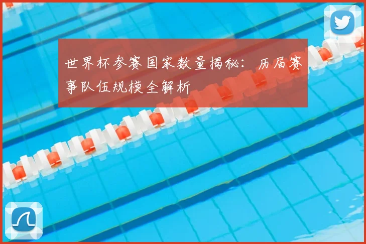 世界杯参赛国家数量揭秘:历届赛事队伍规模全解析