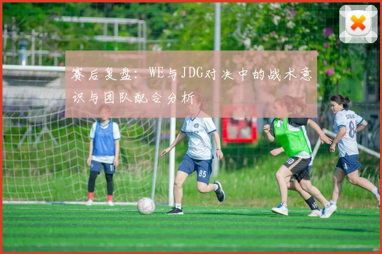 赛后复盘:WE与JDG对决中的战术意识与团队配合分析