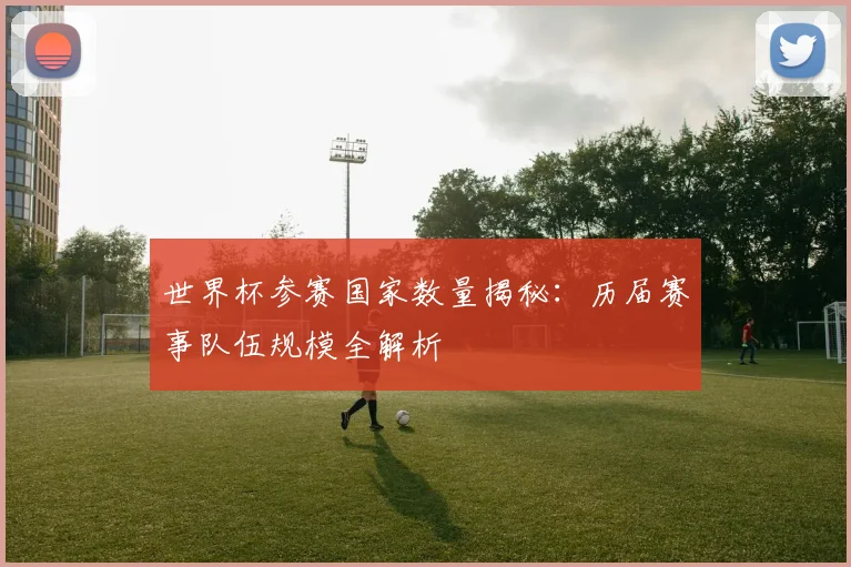世界杯参赛国家数量揭秘：历届赛事队伍规模全解析