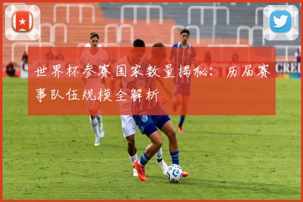 世界杯参赛国家数量揭秘:历届赛事队伍规模全解析