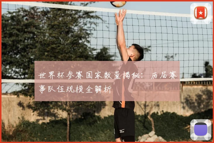世界杯参赛国家数量揭秘:历届赛事队伍规模全解析
