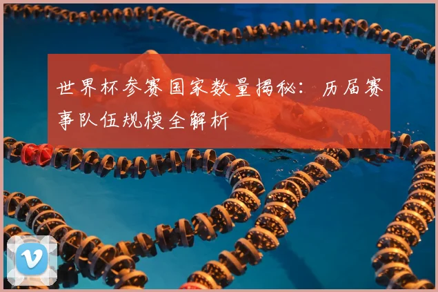 世界杯参赛国家数量揭秘：历届赛事队伍规模全解析