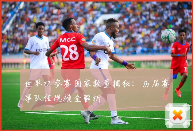 世界杯参赛国家数量揭秘：历届赛事队伍规模全解析