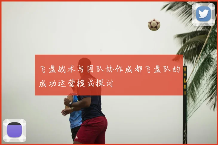 飞盘战术与团队协作成都飞盘队的成功运营模式探讨