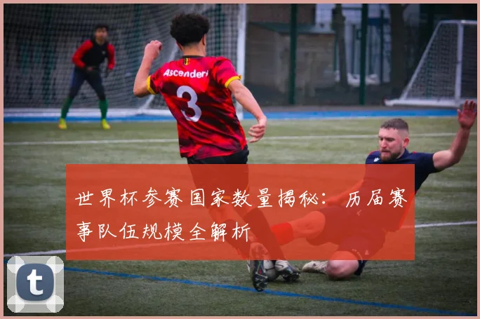 世界杯参赛国家数量揭秘:历届赛事队伍规模全解析