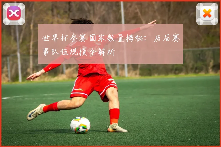 世界杯参赛国家数量揭秘:历届赛事队伍规模全解析