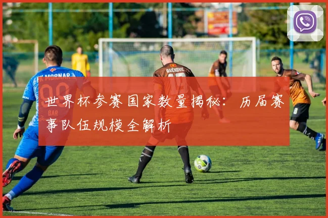 世界杯参赛国家数量揭秘：历届赛事队伍规模全解析