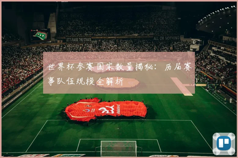 世界杯参赛国家数量揭秘:历届赛事队伍规模全解析