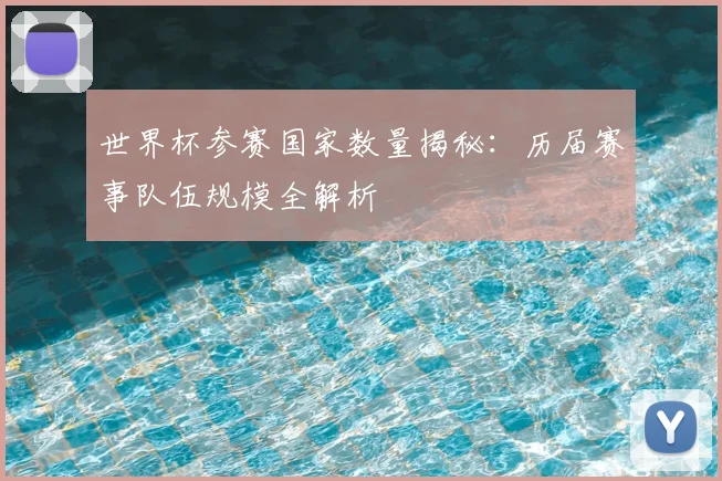 世界杯参赛国家数量揭秘：历届赛事队伍规模全解析