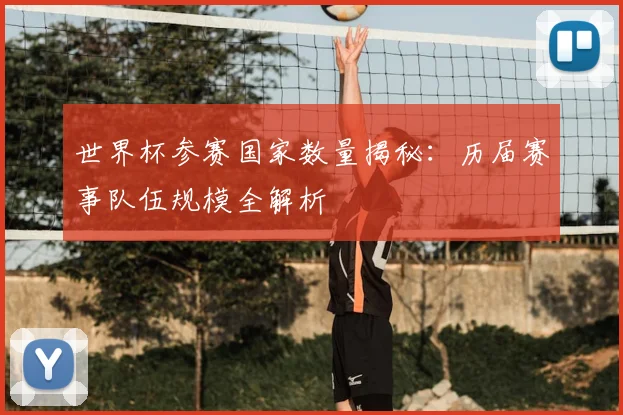 世界杯参赛国家数量揭秘:历届赛事队伍规模全解析