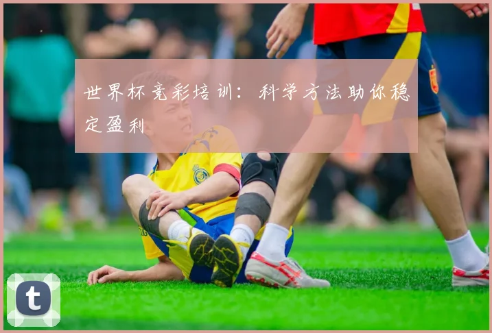 世界杯竞彩培训:科学方法助你稳定盈利