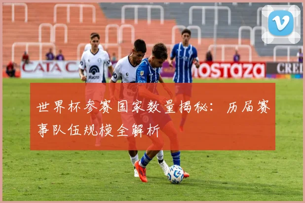 世界杯参赛国家数量揭秘:历届赛事队伍规模全解析