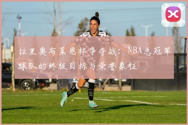 拉里奥布莱恩杯争夺战:NBA总冠军球队的终极目标与荣誉象征