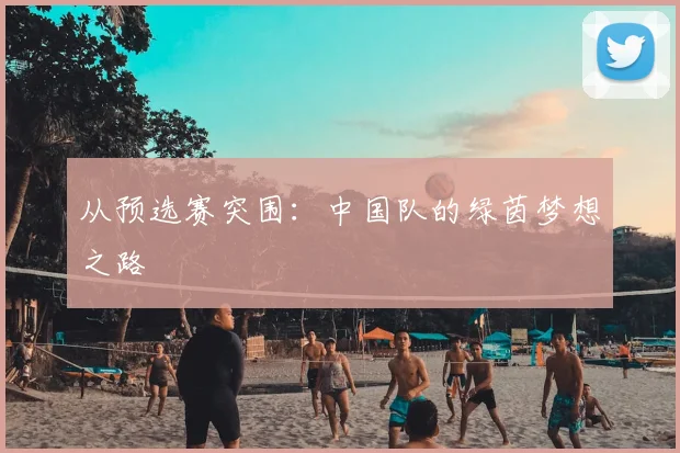 从预选赛突围:中国队的绿茵梦想之路
