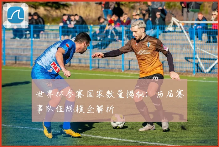 世界杯参赛国家数量揭秘:历届赛事队伍规模全解析