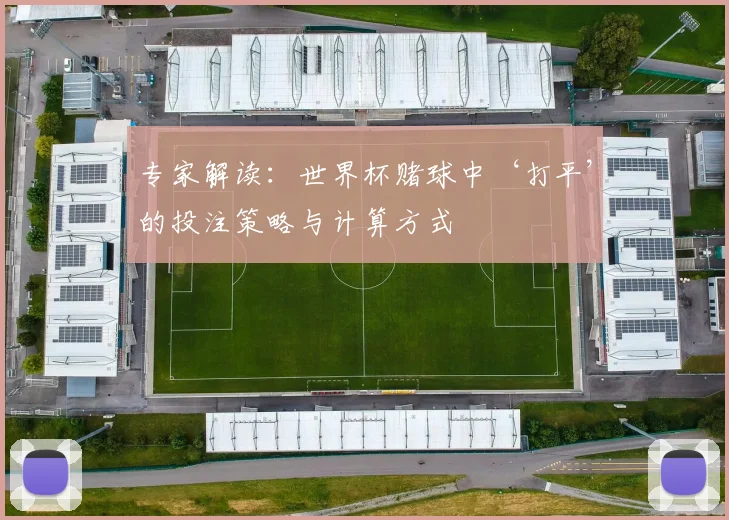 专家解读:世界杯赌球中‘打平’的投注策略与计算方式