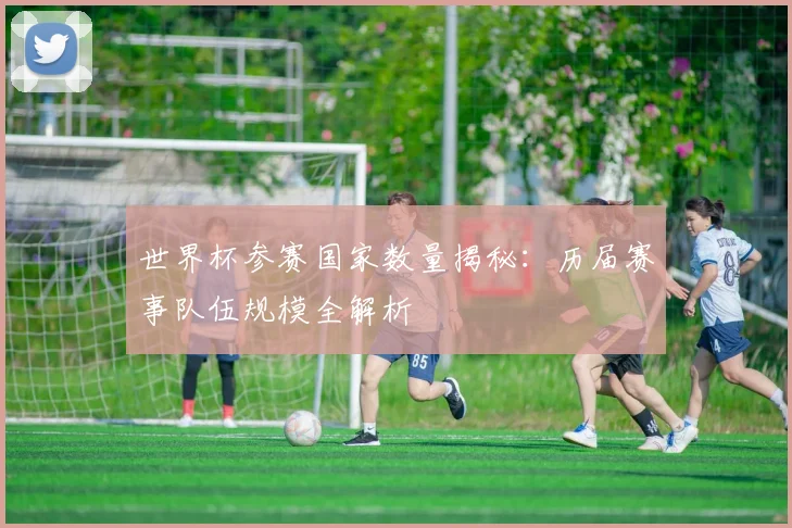 世界杯参赛国家数量揭秘:历届赛事队伍规模全解析