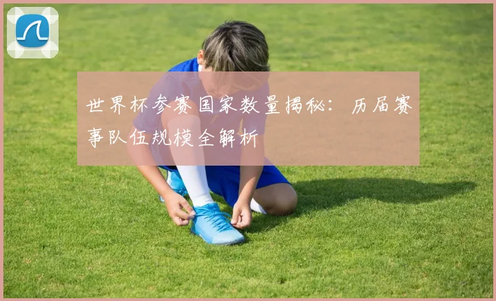 世界杯参赛国家数量揭秘：历届赛事队伍规模全解析