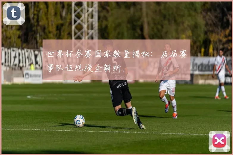 世界杯参赛国家数量揭秘：历届赛事队伍规模全解析