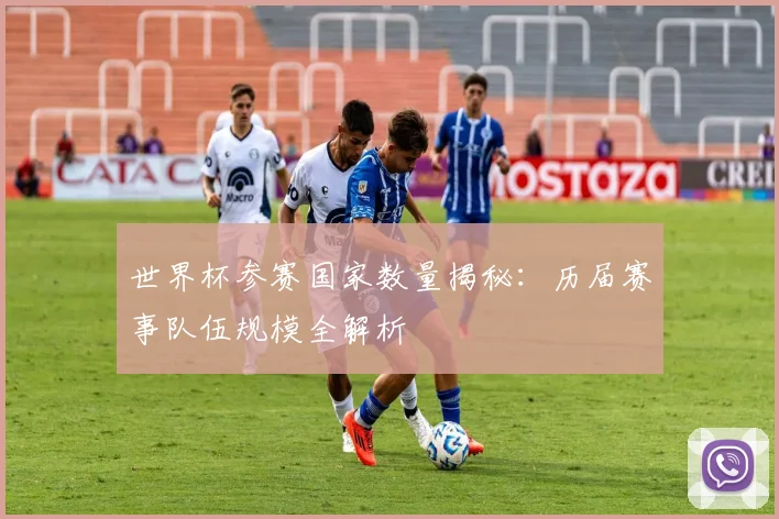 世界杯参赛国家数量揭秘：历届赛事队伍规模全解析