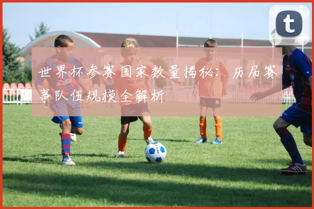 世界杯参赛国家数量揭秘:历届赛事队伍规模全解析