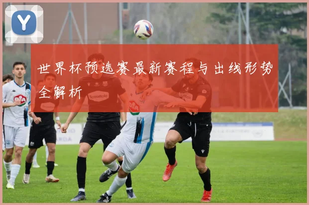 世界杯预选赛最新赛程与出线形势全解析