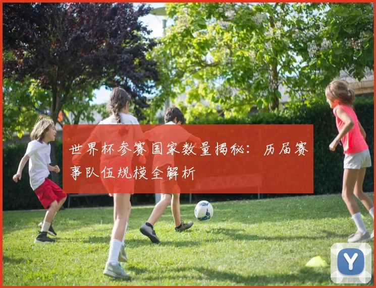 世界杯参赛国家数量揭秘:历届赛事队伍规模全解析