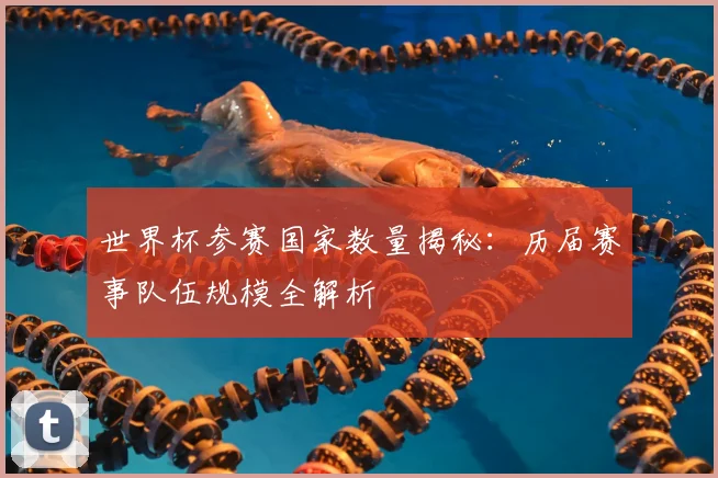 世界杯参赛国家数量揭秘：历届赛事队伍规模全解析