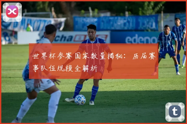 世界杯参赛国家数量揭秘：历届赛事队伍规模全解析