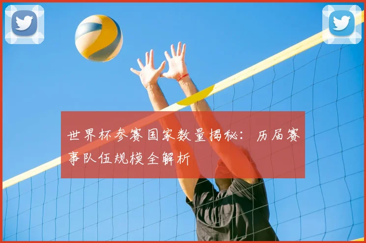 世界杯参赛国家数量揭秘：历届赛事队伍规模全解析