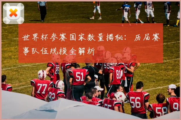 世界杯参赛国家数量揭秘:历届赛事队伍规模全解析