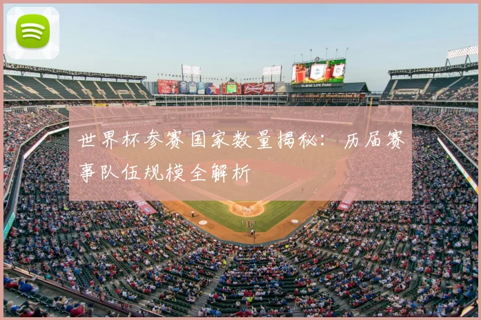 世界杯参赛国家数量揭秘：历届赛事队伍规模全解析