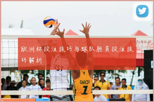欧洲杯投注技巧与球队胜负投注技巧解析
