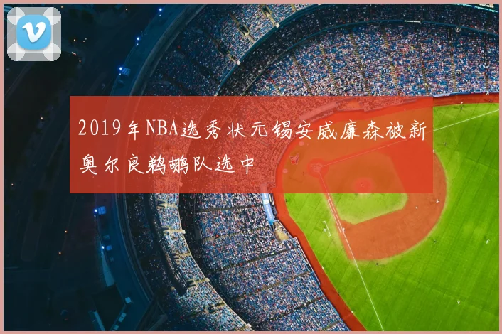 2019年NBA选秀状元锡安威廉森被新奥尔良鹈鹕队选中