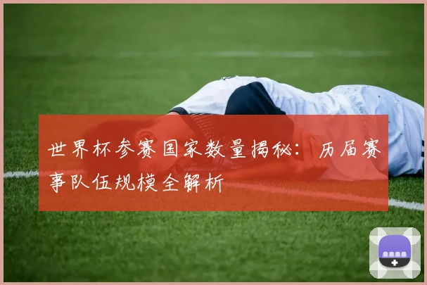 世界杯参赛国家数量揭秘:历届赛事队伍规模全解析