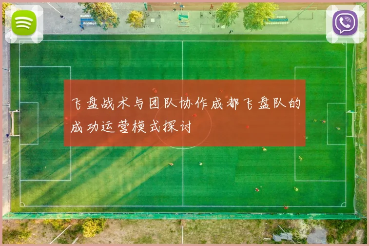 飞盘战术与团队协作成都飞盘队的成功运营模式探讨