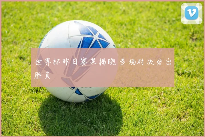 世界杯昨日赛果揭晓 多场对决分出胜负