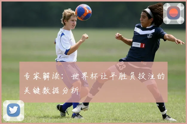 专家解读：世界杯让平胜负投注的关键数据分析