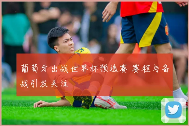 葡萄牙出战世界杯预选赛 赛程与备战引发关注