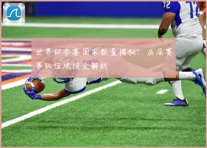 世界杯参赛国家数量揭秘：历届赛事队伍规模全解析