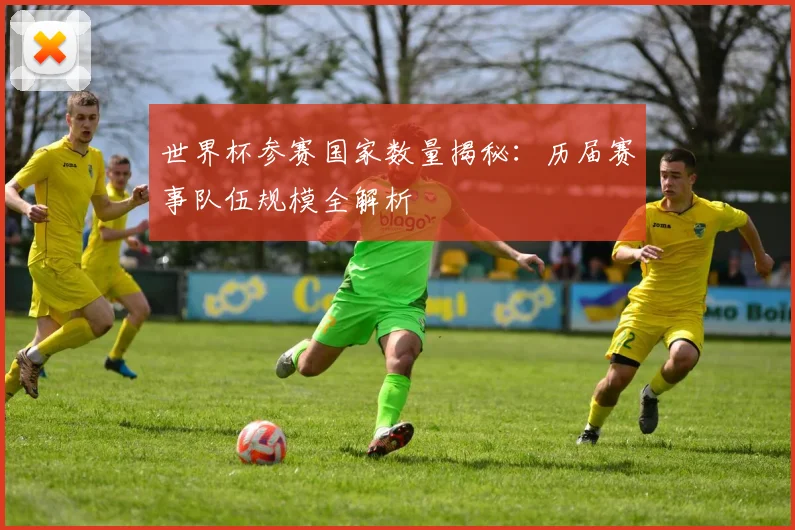 世界杯参赛国家数量揭秘:历届赛事队伍规模全解析