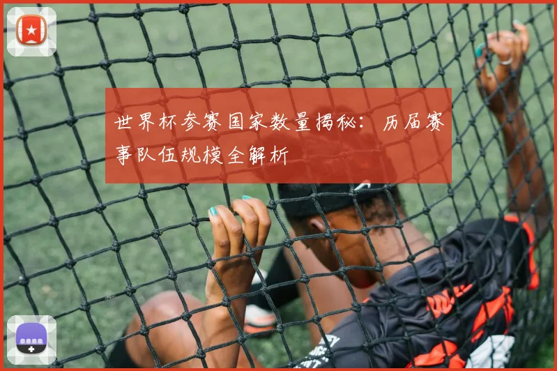 世界杯参赛国家数量揭秘：历届赛事队伍规模全解析