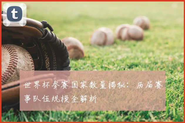 世界杯参赛国家数量揭秘：历届赛事队伍规模全解析