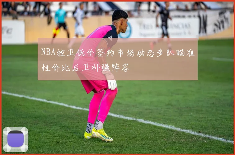 NBA控卫低价签约市场动态多队瞄准性价比后卫补强阵容