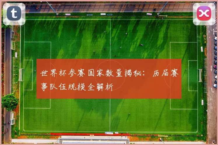 世界杯参赛国家数量揭秘：历届赛事队伍规模全解析