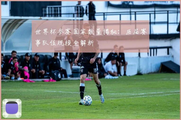 世界杯参赛国家数量揭秘:历届赛事队伍规模全解析