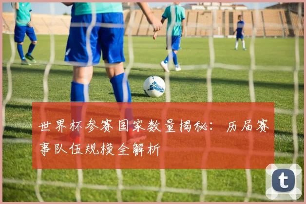 世界杯参赛国家数量揭秘：历届赛事队伍规模全解析